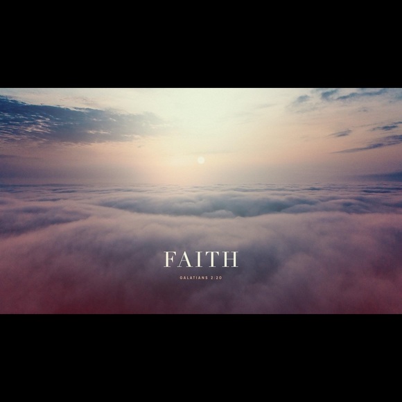 Meet your Posher, Lexi - Picture 2 of 5